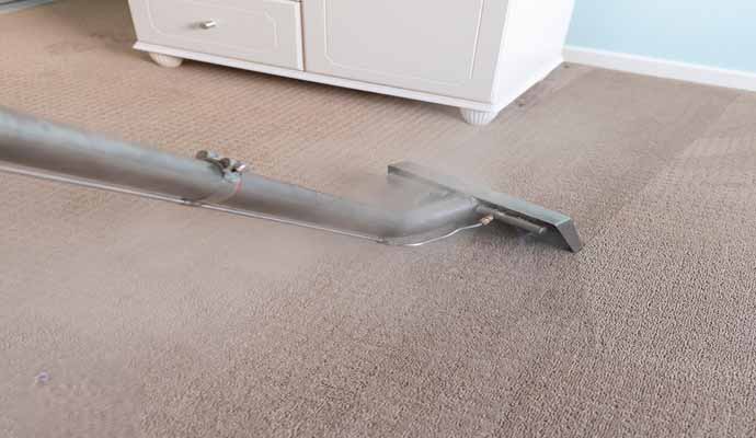 Steam cleaning a carpet with a professional cleaning tool