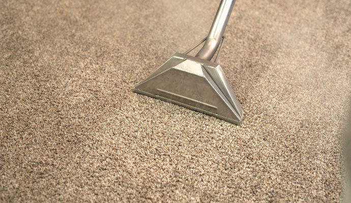 Professional carpet cleaning with equipment