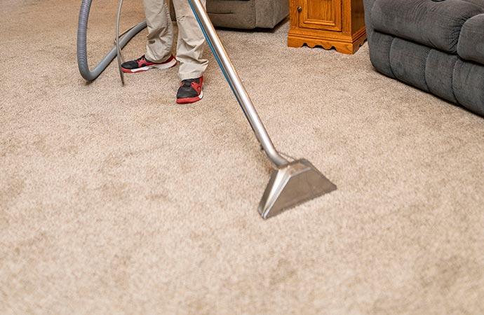 an expert cleaning carpet using professional equipment