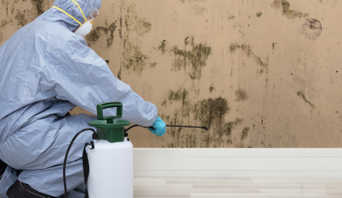 Person cleaning mold with cleaning equipment