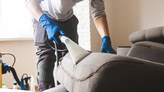 How Much Does Upholstery Cleaning Cost? [2024 Data]